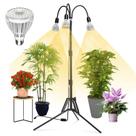 Grow Lights SANSI 96W Full Spectrum com tripé para plantas de interior Grow Lights SANSI 96W Full Spectrum com tripé para plantas de interior