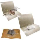 Gruda Rato Placas Adesivas Multiuso para Captura Passiva Kit com 10 Unidades Super Fixação Eficiente Higiênica Fácil Uso Não Tóxica
