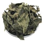 Guaco 250g (Erva Desidratada)