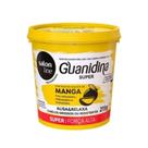 Guanidina Óleo Semente de Manga Alisa e Relaxa Salon Line 215gr