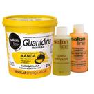 Guanidina Regular Óleo De Manga Força Média Salon Line 218g