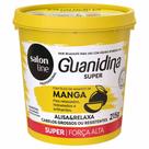 Guanidina Salon Line Óleo Semente de Manga Alisa e Relaxa
