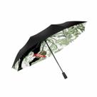Guarda-chuva Anime Windproof Portátil Roronoas Zoros 98cm