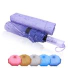 Guarda Chuva Automático Reforçado Contra Vento Cabe Na Bolsa / 1092