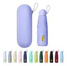 Guarda Chuva Compacto De Bolso Com Proteção UV Lilas