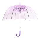 Guarda-chuva Gxybb Cherry Blossoms Transparente Bubble Purple Guarda-chuva Gxybb Cherry Blossoms Transparente Bubble Purple