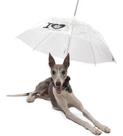 Guarda Chuva Pet Para Cachorro Capa De Chuva Passeio Cães