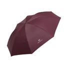 Guarda-chuva Portátil Para Estudantes Com Estampa De Desenho Animado, Manual, Dobrável, Equipamento