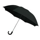 Guarda-chuva Rainbrella de 2 dobras, aberto automaticamente com capa de armazenamento preta