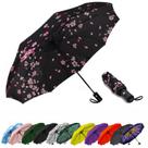 Guarda-chuva SIEPASA Sakura Windproof Travel Compact Automatic
