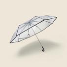 Guarda-Chuva Transparente 55cm - ACASA Guarda-Chuva Tranparente 55cm - ACASA
