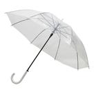 Guarda-Chuva Transparente Haste Reta - Quanhe Guarda-Chuva Transparente Haste Reta - Quanhe