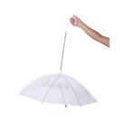 Guarda Chuva Transparente para Pet Guarda Chuva Transparente para Pet