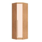 Guarda Roupa de Canto Oblíquo Modulado 1 Porta Cedro e Blush Line Infinity