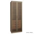 Guarda Roupa Modulado 02 Porta de Vidro 245cm com Colmeia Setiba