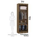 Guarda Roupa Modulado 2 Portas 79cm Veneza Luciane Móveis Avelã Pf/arenas Pf Guarda Roupa Modulado 2 Portas 79cm Veneza Luciane Móveis Avelã Pf/arenas Pf