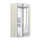 Guarda-Roupa Modulado Canto Closet 2 Portas Aluminio com Espelho 1 Cabideiro 7 Prateleiras Luciane Móveis