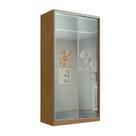 Guarda-roupa Solteiro com Espelho 2 Portas de Correr Rc2005