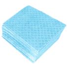 Guardanapo de Papel Liso Azul Claro 30cm x 31cm - 50 Unidades