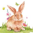 Guardanapo Decoupage Ambiente 33x33 Páscoa Senhor Coelho 20 Un