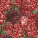 Guardanapo Em Papel Decorado Rose Rosse PPD - 20 Un