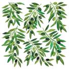 Guardanapo para Decoupage 33x33 Folhas de Oliveiras C/2