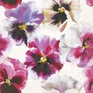 Guardanapo para Decoupage Ihr 33x33 Flore Viola Branca C/ 2 Unidades Guardanapo para Decoupage Ihr 33x33 Flore Viola Branca C/ 2 Unidades