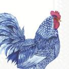 Guardanapo para Decoupage Ihr 33x33 Galo Plumagem Azul C/ 20 Unidade Guardanapo para Decoupage Ihr 33x33 Galo Plumagem Azul C/ 20 Unidade