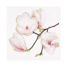 Guardanapo Ramo de Flor Branco Ti-flair 24x24cm - 20 und Guardanapo Ramo de Flor Branco Ti-flair 24x24cm - 20 und