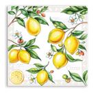 Guardanapos para Decoupage Ambiente Citrus 2 Unidades Guardanapos para Decoupage Ambiente Citrus 2 Unidades