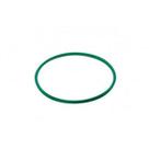 Guarnicao Flange Clio Logan Sandero Symbol Scenic Megane Master Kangoo 7701207449 Avg0055 Diametro Interno (Mm) 125 1 Altura (Mm) 05