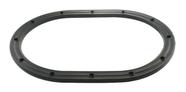 Guarnicao Flange Combustivel Uno Palio Argo Siena Ds1453
