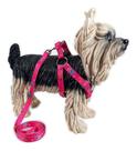 Guia com Peitoral Cães Pequenos Cor ROsa