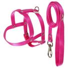Guia com peitoral porte medio M rosa