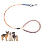 Guia de Contenção 45cm Laranja Banho e Tosa Veterinario Pet Shop Groomer - Caes e Gat