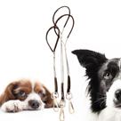 Guia De Contenção Aço Banho E Tosa P M E G Pet Shop Preta