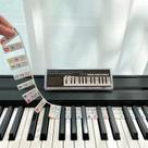 Guia de notas de piano BEATBIT para iniciantes em tamanho real de 88 teclas