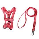 Guia E Peitoral Nylon Simples P/cães Cachorro - Nº 4
