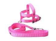 Guia E Peitoral Nylon Simples P/cães Cachorro - Nº 5