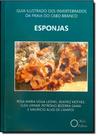 Guia Ilustrado dos Invertebrados da Praia do Cabo Branco : Esponjas