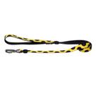 Guia Neon P