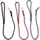 Guia Para Caes Tati Corda Rolica Soft Colors 8Mm X 80Cm - Kit C/6 Pecas Guia Para Caes Tati Corda Rolica Soft Colors 8Mm X 80Cm - Kit C/6 Pecas