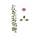 Guirlanda De Natal Com Folhas De Azevinho E Frutas Vermelhas 1M, Folhagem Artificial Para Decoração Guirlanda De Natal Com Folhas De Azevinho E Frutas Vermelhas 1M, Folhagem Artificial Para Decoração