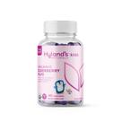 Gummies Hyland's Naturals Kids Organic Sabugueiro 48 Vegan