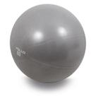 Gym Ball com Bomba - 65cm Cinza - Vollo Sports