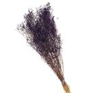 Gypsofila Roxo Desidratado p/ Decoração