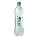 H20 limoneto 300ml