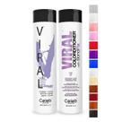 Hair Color Duo Celeb Luxury Viral Lavanda e Lilás