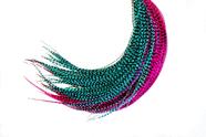 Hair Feathers Feather Headz 21 Hot Pink & Turquoise Grizzly