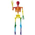 Halloween Skeleton JOYIN 175 cm Rainbow Posable Outdoor